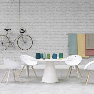 Pedrali Gliss lounge chair with ash legs