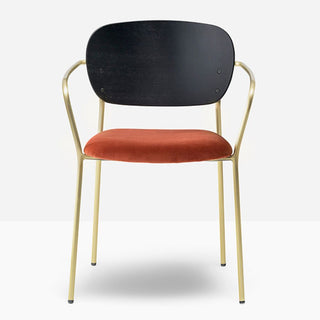 Pedrali Jazz 3705 padded chair with armrests and ash backrest Pedrali Black aniline ash AN - Buy now on ShopDecor - Discover the best products by PEDRALI design