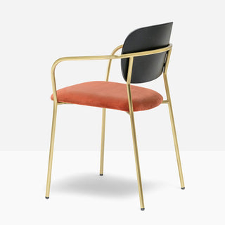 Pedrali Jazz 3705 padded chair with armrests and ash backrest - Buy now on ShopDecor - Discover the best products by PEDRALI design