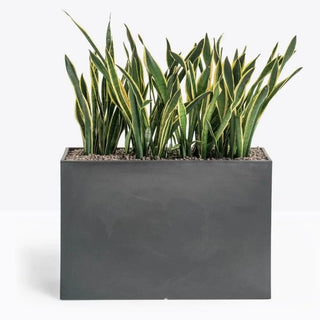 Pedrali Kado polyethylene vase - Buy now on ShopDecor - Discover the best products by PEDRALI design