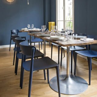 Pedrali Nemea 2820 ash chair