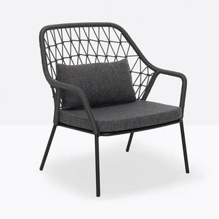 Pedrali Panarea 3679 lounge armchair with removable cushion