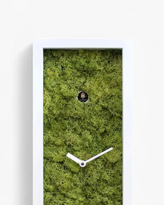 Progetti Amazon cuckoo/table clock - Buy now on ShopDecor - Discover the best products by PROGETTI design