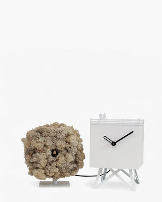 Progetti Birdwatching cuckoo/table clock Progetti White and Cream Lichen - Buy now on ShopDecor - Discover the best products by PROGETTI design