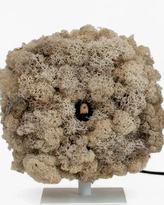 Progetti Birdwatching cuckoo/table clock - Buy now on ShopDecor - Discover the best products by PROGETTI design