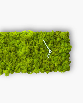 Progetti Clock_Circle clock - Buy now on ShopDecor - Discover the best products by PROGETTI design