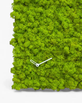 Progetti Clock_Circle clock - Buy now on ShopDecor - Discover the best products by PROGETTI design
