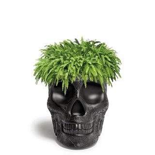 Qeeboo Mexico planter and champagne cooler in the shape of a skull