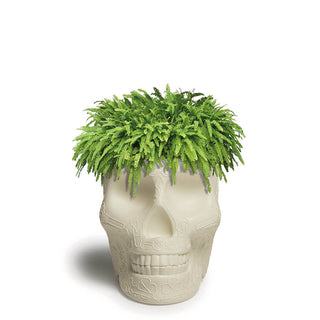 Qeeboo Mexico planter and champagne cooler in the shape of a skull