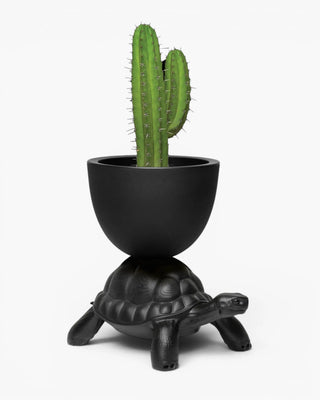 Qeeboo Turtle Carry Planter And Champagne Cooler vase/refroidisseur à champagne