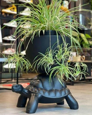 Qeeboo Turtle Carry Planter And Champagne Cooler vase/refroidisseur à champagne