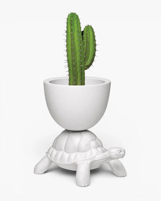 Qeeboo Turtle Carry Planter And Champagne Cooler vase/refroidisseur à champagne