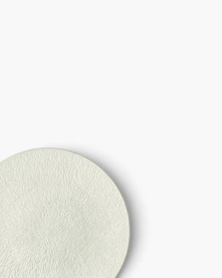Raynaud Minéral fully engraved coupe dinner plate in Limoges porcelain with coloured decoration