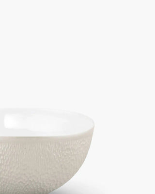 Raynaud Minéral bowl in Limoges porcelain with coloured decoration