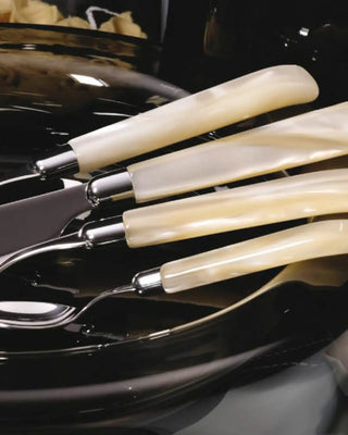 Rivadossi Sandro | Giada polished stainless steel cutlery set with PMMA handle - Buy now on ShopDecor - Discover the best products by RIVADOSSI SANDRO design