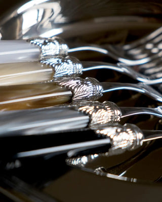 Rivadossi Sandro | Laura Argento polished stainless steel cutlery set with PMMA handle and silver finish ring - Buy now on ShopDecor - Discover the best products by RIVADOSSI SANDRO design