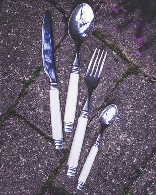 Rivadossi Sandro | Rossini polished stainless steel cutlery set with PA handle - Buy now on ShopDecor - Discover the best products by RIVADOSSI SANDRO design