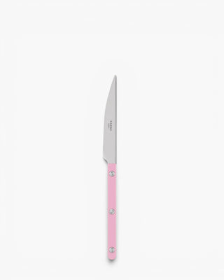 Sabre Paris Bistrot Shiny stainless steel dessert knife with nylon handle