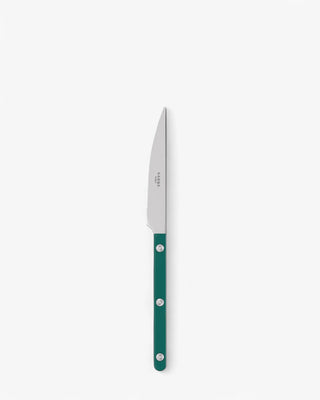 Sabre Paris Bistrot Shiny stainless steel dessert knife with nylon handle
