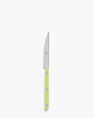 Sabre Paris Bistrot Shiny stainless steel dessert knife with nylon handle