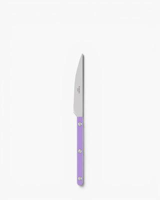 Sabre Paris Bistrot Shiny stainless steel dessert knife with nylon handle