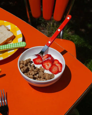 Sabre Paris Bistrot Shiny stainless steel dessert spoon with nylon handle - Buy now on ShopDecor - Discover the best products by SABRE PARIS design