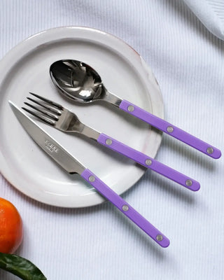 Sabre Paris Bistrot Shiny stainless steel dessert spoon with nylon handle - Buy now on ShopDecor - Discover the best products by SABRE PARIS design