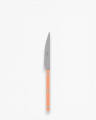 Sabre Paris Bistrot Vintage stainless steel dessert knife with nylon handle Sabre Paris Nude Pink - Buy now on ShopDecor - Discover the best products by SABRE PARIS design