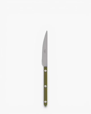 Sabre Paris Bistrot Vintage stainless steel dessert knife with nylon handle Sabre Paris Green Fern - Buy now on ShopDecor - Discover the best products by SABRE PARIS design