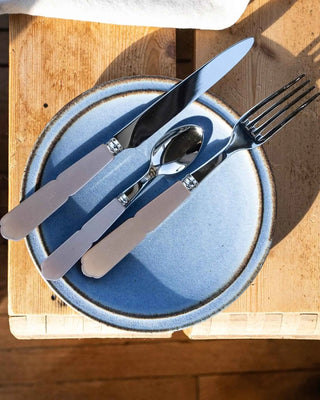 Sabre Paris Gustave stainless steel dessert spoon with acrylic handle - Buy now on ShopDecor - Discover the best products by SABRE PARIS design