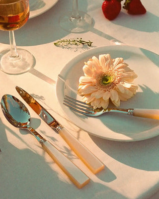 Sabre Paris Icône 24-piece stainless steel cutlery set with acrylic handles - Buy now on ShopDecor - Discover the best products by SABRE PARIS design