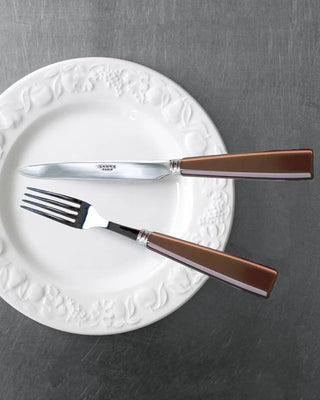 Sabre Paris Icône 24-piece stainless steel cutlery set with acrylic handles - Buy now on ShopDecor - Discover the best products by SABRE PARIS design
