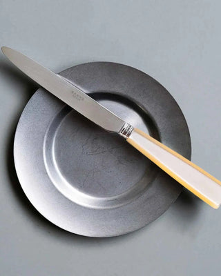 Sabre Paris Icône 5-piece stainless steel cutlery set with acrylic handles - Buy now on ShopDecor - Discover the best products by SABRE PARIS design