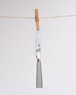 Sabre Paris Icône 5-piece stainless steel cutlery set with acrylic handles - Buy now on ShopDecor - Discover the best products by SABRE PARIS design