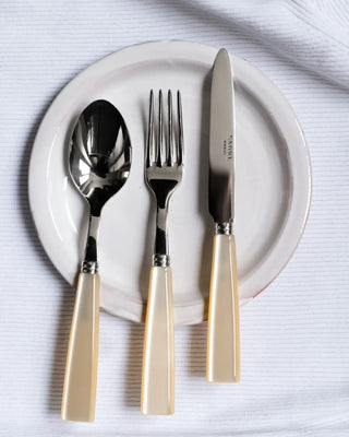 Sabre Paris Icône stainless steel dessert knife with acrylic handle - Buy now on ShopDecor - Discover the best products by SABRE PARIS design
