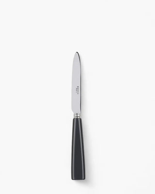 Sabre Paris Icône stainless steel dessert knife with acrylic handle Sabre Paris Dark Grey - Buy now on ShopDecor - Discover the best products by SABRE PARIS design