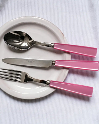 Sabre Paris Icône stainless steel dessert spoon with acrylic handle - Buy now on ShopDecor - Discover the best products by SABRE PARIS design