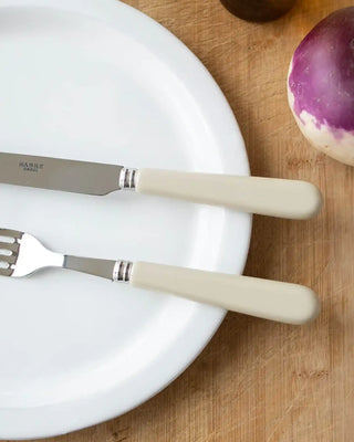 Sabre Paris Pop 24-piece stainless steel cutlery set with acrylic handles - Buy now on ShopDecor - Discover the best products by SABRE PARIS design