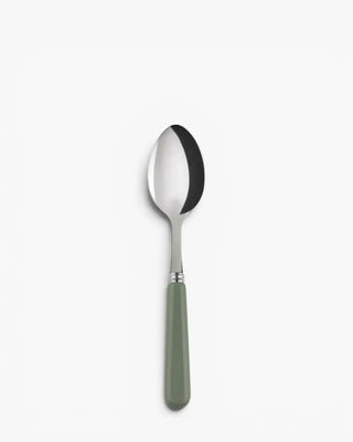 Sabre Paris Pop stainless steel dessert spoon with acrylic handle Sabre Paris Asparagus - Buy now on ShopDecor - Discover the best products by SABRE PARIS design