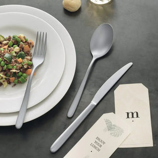 Sambonet Hannah cutlery set - Buy now on ShopDecor - Discover the best products by SAMBONET design