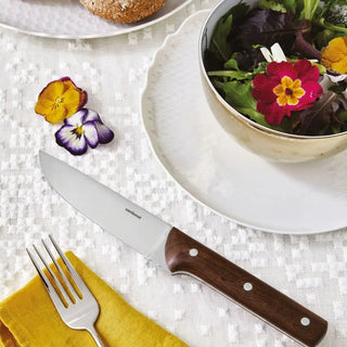Sambonet 2 steak knives set - Buy now on ShopDecor - Discover the best products by SAMBONET design