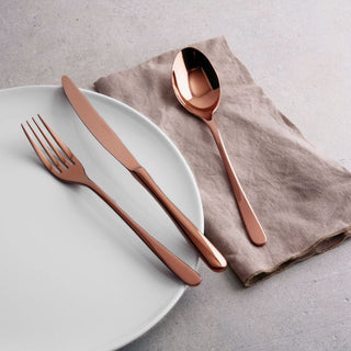 Sambonet Taste 24-piece cutlery set - Buy now on ShopDecor - Discover the best products by SAMBONET design