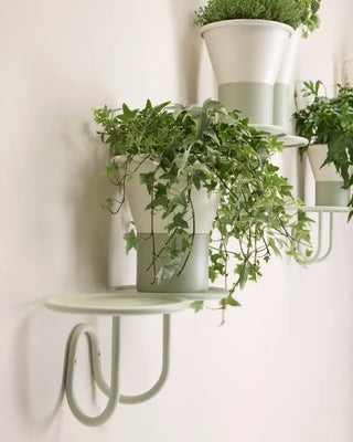 Scab Mimosa 2955 wall-mounted steel plant holder