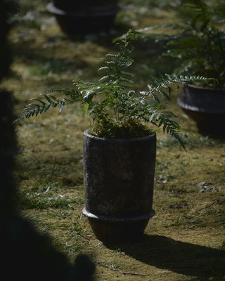 Serax Dune planter 02 - Buy now on ShopDecor - Discover the best products by SERAX design