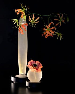 Serax Lys portable LED table lamp/vase - Buy now on ShopDecor - Discover the best products by SERAX design