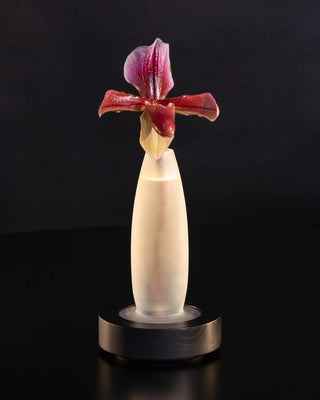 Serax Lys portable LED table lamp/vase - Buy now on ShopDecor - Discover the best products by SERAX design