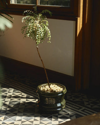 Serax Mesa Planter 01 - Buy now on ShopDecor - Discover the best products by SERAX design