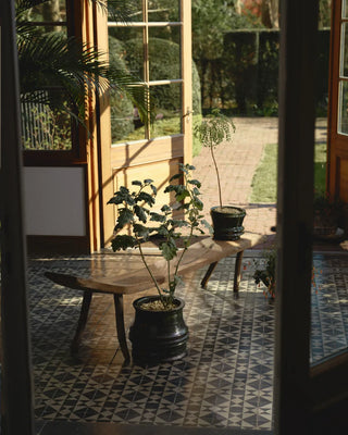 Serax Mesa Planter 01 - Buy now on ShopDecor - Discover the best products by SERAX design