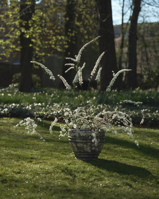 Serax Mesa Planter 01 - Buy now on ShopDecor - Discover the best products by SERAX design