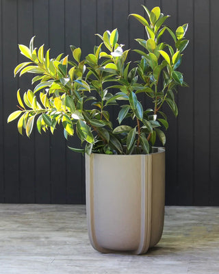 Serralunga Cassero vase - Buy now on ShopDecor - Discover the best products by SERRALUNGA design